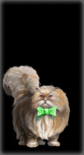 http://img.combats.ru/i/chars/0/20002.gif