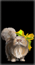 http://img.combats.ru/i/chars/0/20004.gif