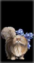 http://img.combats.ru/i/chars/0/20006.gif