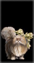 http://img.combats.ru/i/chars/0/20007.gif