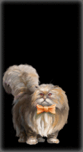 http://img.combats.ru/i/chars/0/20010.gif