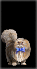 http://img.combats.ru/i/chars/0/20011.gif