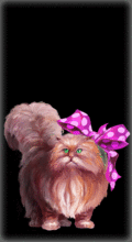 http://img.combats.ru/i/chars/0/20104.gif