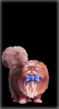 http://img.combats.ru/i/chars/0/20107.gif