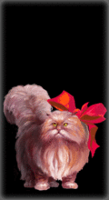 http://img.combats.ru/i/chars/0/20108.gif