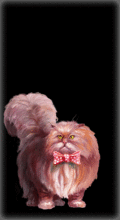 http://img.combats.ru/i/chars/0/20109.gif