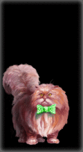 http://img.combats.ru/i/chars/0/20110.gif