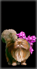 http://img.combats.ru/i/chars/0/20200.gif