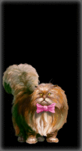 http://img.combats.ru/i/chars/0/20201.gif