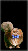 http://img.combats.ru/i/chars/0/20203.gif