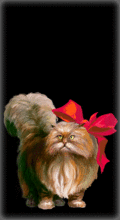 http://img.combats.ru/i/chars/0/20204.gif