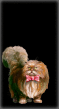 http://img.combats.ru/i/chars/0/20205.gif