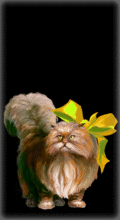 http://img.combats.ru/i/chars/0/20208.gif