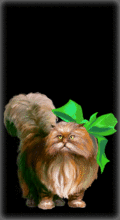 http://img.combats.ru/i/chars/0/20209.gif