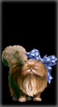 http://img.combats.ru/i/chars/0/20210.gif