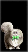 http://img.combats.ru/i/chars/0/20302.gif