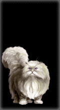 http://img.combats.ru/i/chars/0/20303.gif