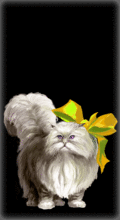 http://img.combats.ru/i/chars/0/20304.gif