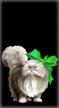 http://img.combats.ru/i/chars/0/20305.gif