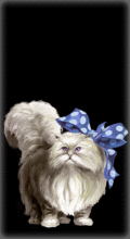 http://img.combats.ru/i/chars/0/20306.gif