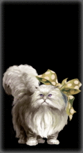 http://img.combats.ru/i/chars/0/20307.gif