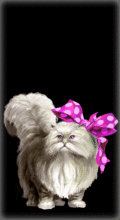 http://img.combats.ru/i/chars/0/20308.gif