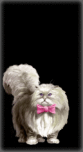 http://img.combats.ru/i/chars/0/20309.gif