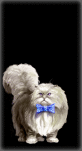 http://img.combats.ru/i/chars/0/20311.gif