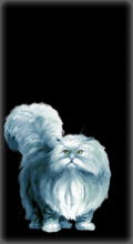 http://img.combats.ru/i/chars/0/20411.gif
