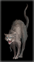 http://img.combats.ru/i/chars/0/20508.gif