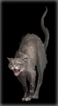 http://img.combats.ru/i/chars/0/20510.gif