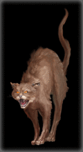 http://img.combats.ru/i/chars/0/20605.gif