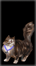 http://img.combats.ru/i/chars/0/20902.gif