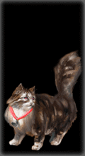 http://img.combats.ru/i/chars/0/20903.gif