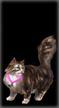 http://img.combats.ru/i/chars/0/20905.gif
