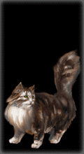 http://img.combats.ru/i/chars/0/20906.gif