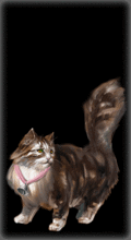 http://img.combats.ru/i/chars/0/20911.gif