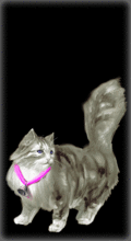 http://img.combats.ru/i/chars/0/21103.gif