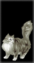 http://img.combats.ru/i/chars/0/21104.gif