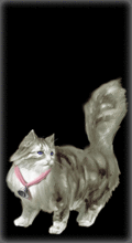 http://img.combats.ru/i/chars/0/21109.gif
