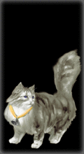 http://img.combats.ru/i/chars/0/21110.gif