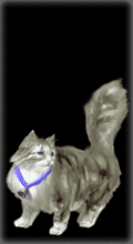 http://img.combats.ru/i/chars/0/21111.gif