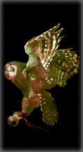 Predator [7] (View avatar)