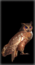 Tiny [2] (View avatar)
