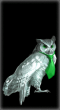 Owl [0] (View avatar)