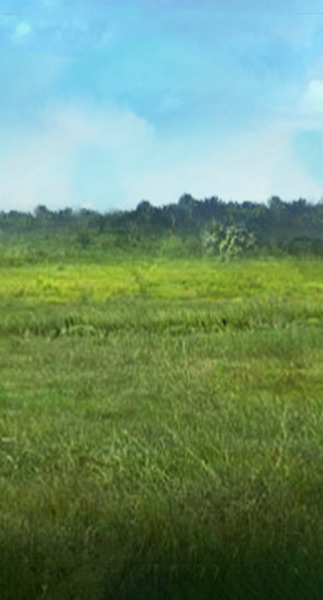 1743_gvxhdtj.gif