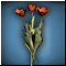 Букет Тюльпанов 3
Состав: 3 тюльпана + трава для оформления №1
(Масса: 1)
Долговечность: 0/1
Срок годности: 3 дн.
Урон: 1-3