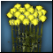 Букет Жёлтых Роз 21
Состав: 21 жёлтая роза + трава для оформления №5
(Масса: 1)
Долговечность: 0/1
Срок годности: 10 дн.
Урон: 3-25 
Действует на:мф антикрит. удара: 10%