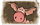 http://img.combats.ru/i/items/summon_pet_pig.gif